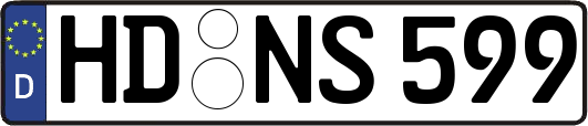 HD-NS599