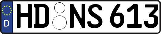 HD-NS613