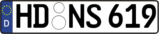 HD-NS619