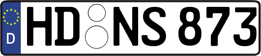 HD-NS873