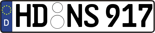 HD-NS917