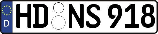 HD-NS918