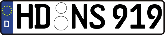 HD-NS919