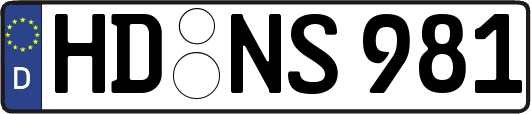 HD-NS981