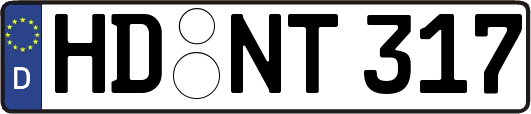 HD-NT317