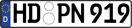 HD-PN919