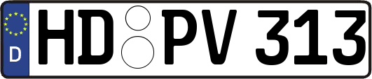HD-PV313