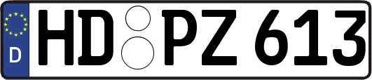 HD-PZ613
