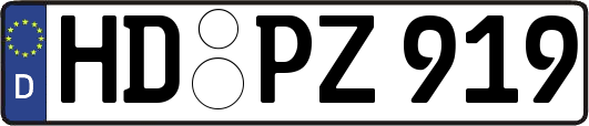 HD-PZ919