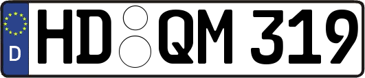 HD-QM319