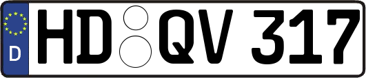 HD-QV317
