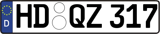 HD-QZ317
