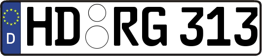 HD-RG313