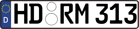 HD-RM313