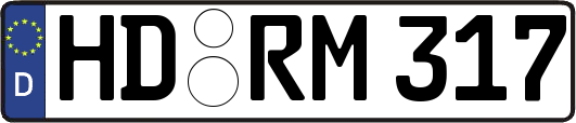 HD-RM317