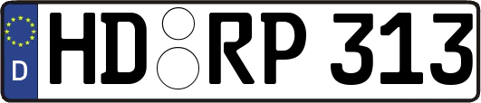 HD-RP313
