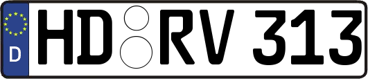 HD-RV313