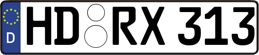 HD-RX313