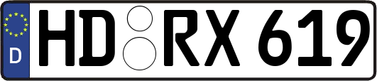 HD-RX619