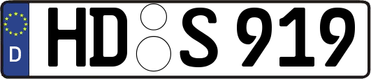 HD-S919