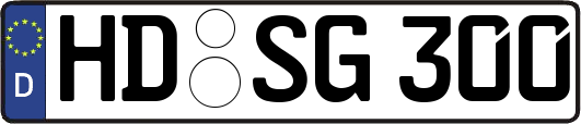 HD-SG300