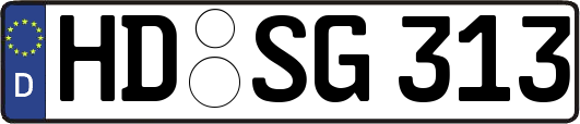 HD-SG313