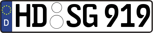 HD-SG919