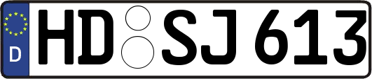 HD-SJ613