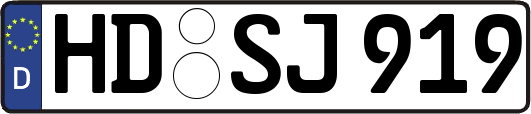 HD-SJ919