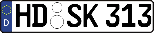 HD-SK313