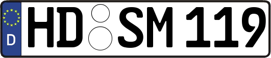HD-SM119