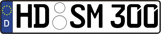 HD-SM300