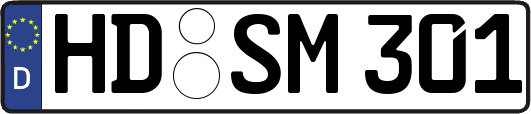 HD-SM301