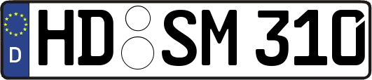 HD-SM310