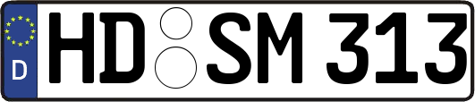HD-SM313