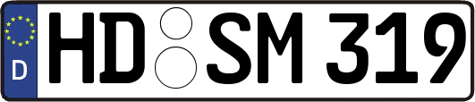 HD-SM319