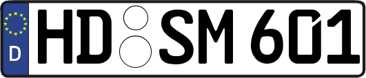 HD-SM601