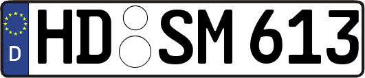 HD-SM613