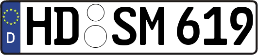 HD-SM619