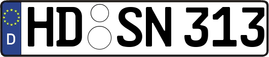 HD-SN313