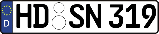 HD-SN319