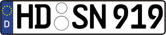 HD-SN919