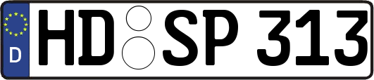 HD-SP313