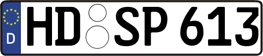 HD-SP613