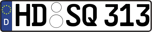 HD-SQ313