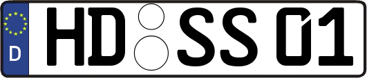 HD-SS01