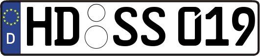 HD-SS019