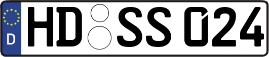 HD-SS024