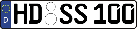HD-SS100