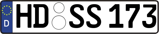 HD-SS173